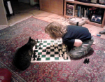 Author Peter Smalley's son levies a crushing defeat on the family cat.